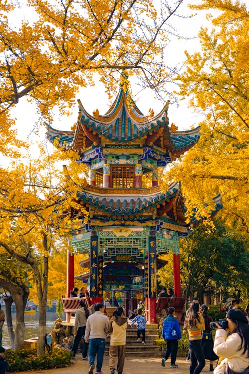 Colourful traditional pagoda at Green Lake Park (Cuihu) in Kunming, Yunnan, surrounded by golden ginkgo trees